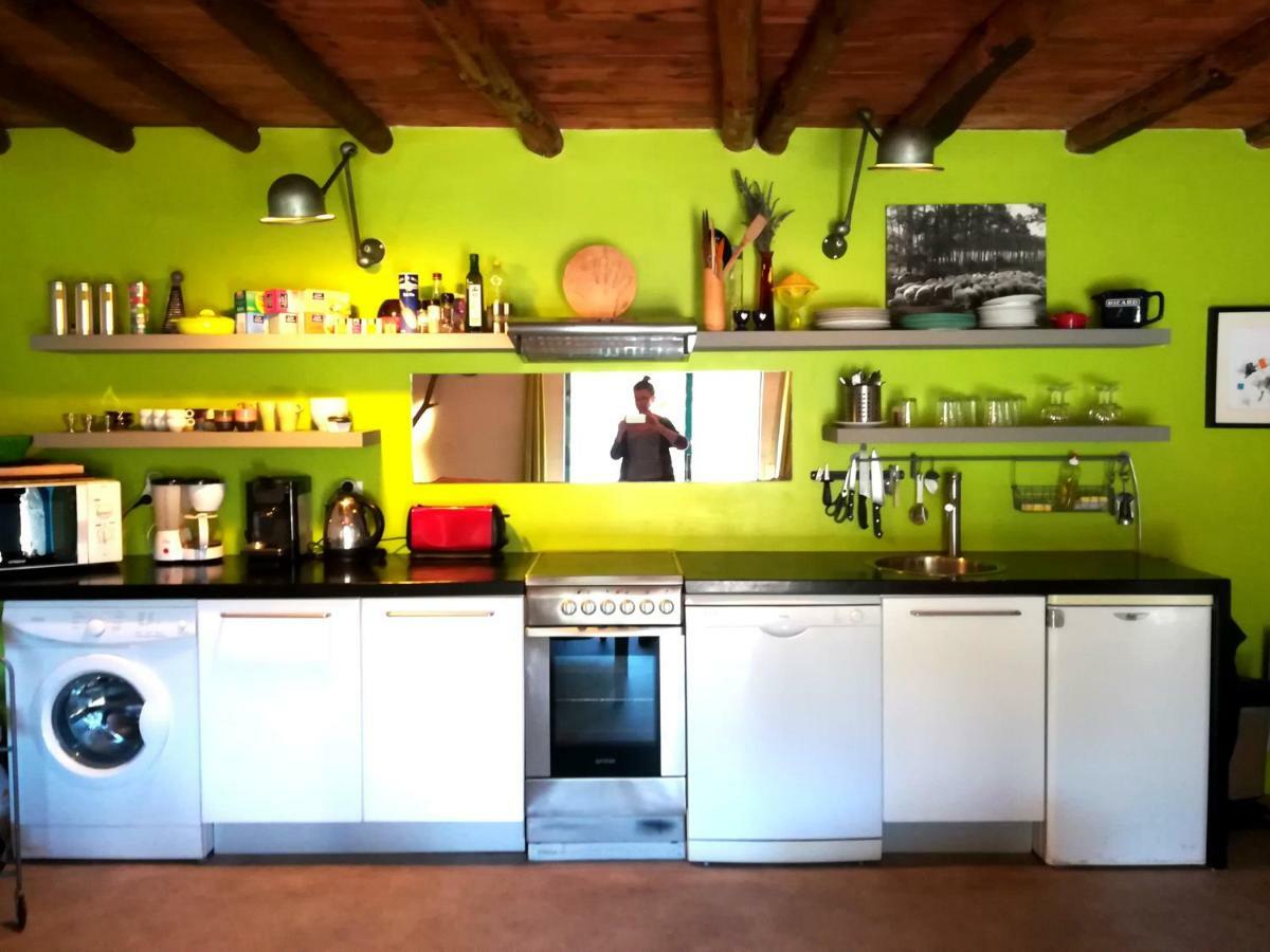 Ferienwohnung La Rainette De Taleyrac Valleraugue Exterior foto